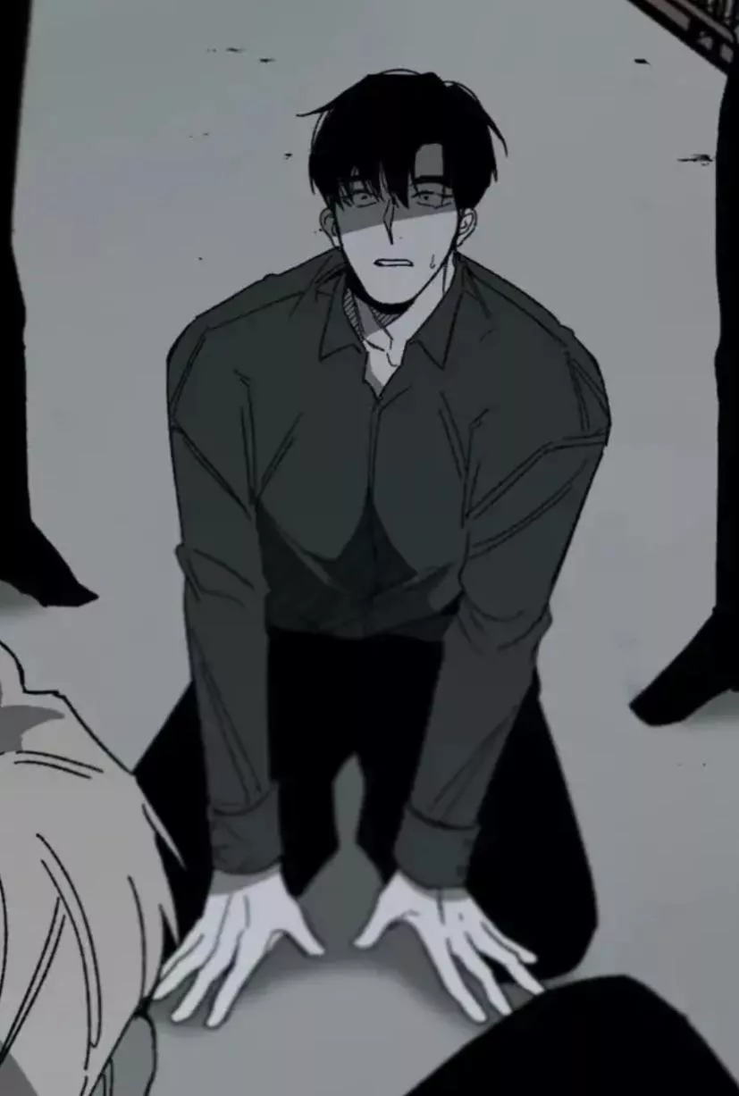 no reason is a fucking shit show