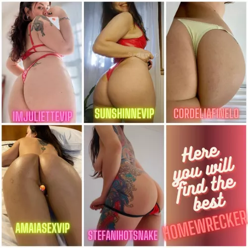 The best homewrecking sluts are here to be your secret 😈 who are you going to drain your married cock with today on the sly? 💦😱