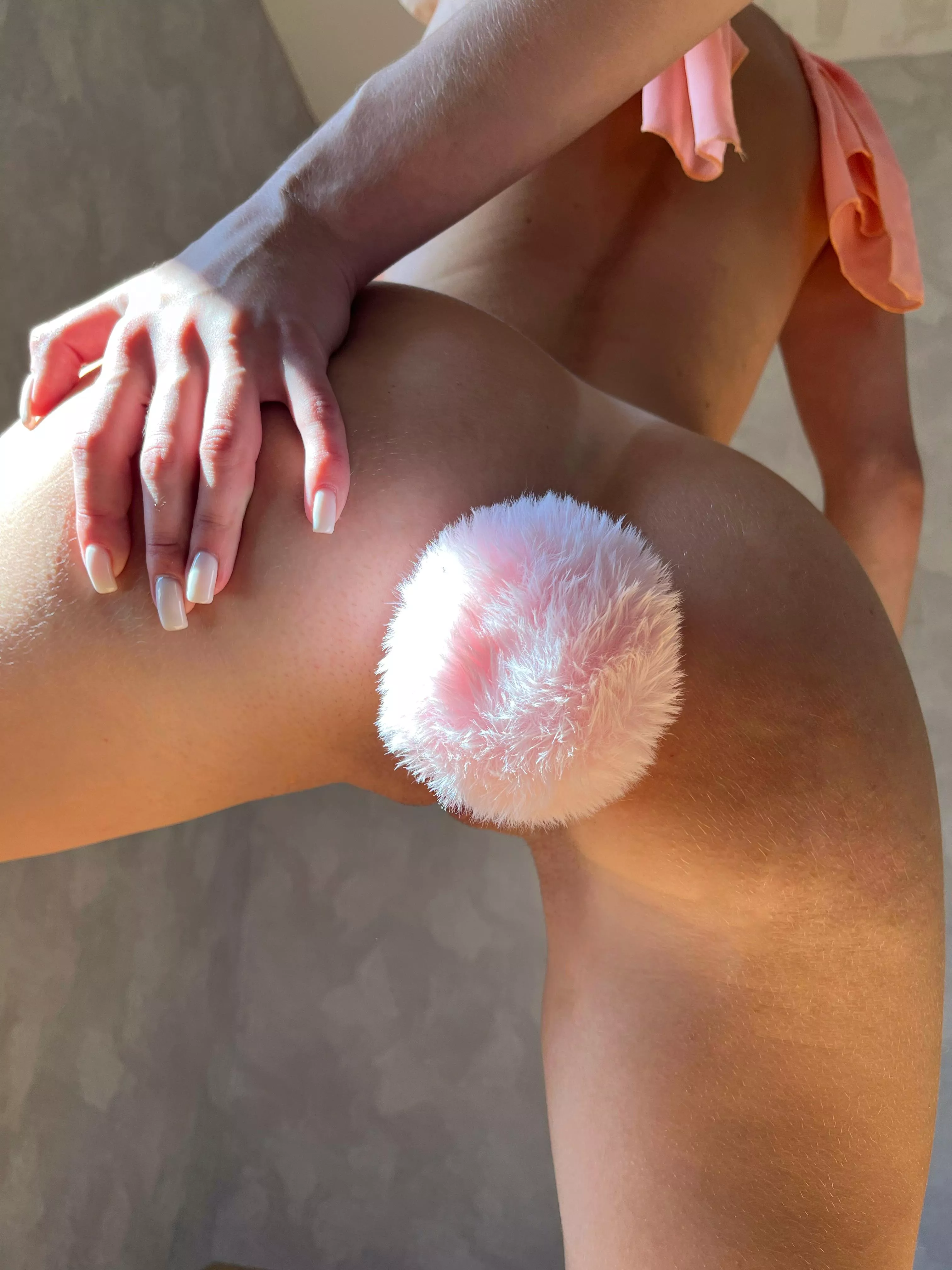 The naughty bunny has a nice tail