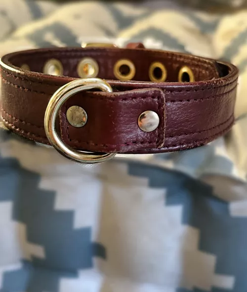 What do you do when the bird flies from the coop?