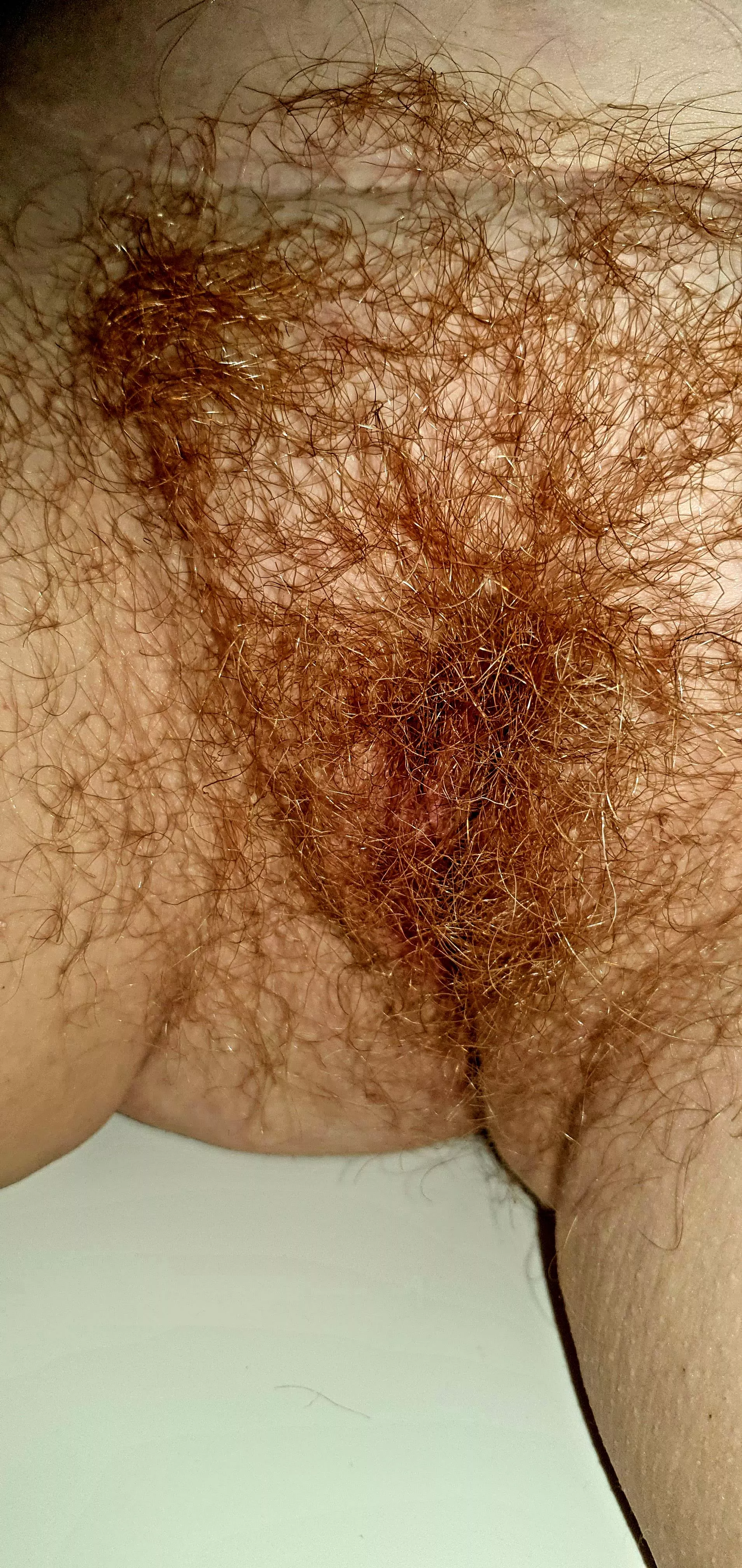 Who wants to go balls deep in my hairy ginger pussy?