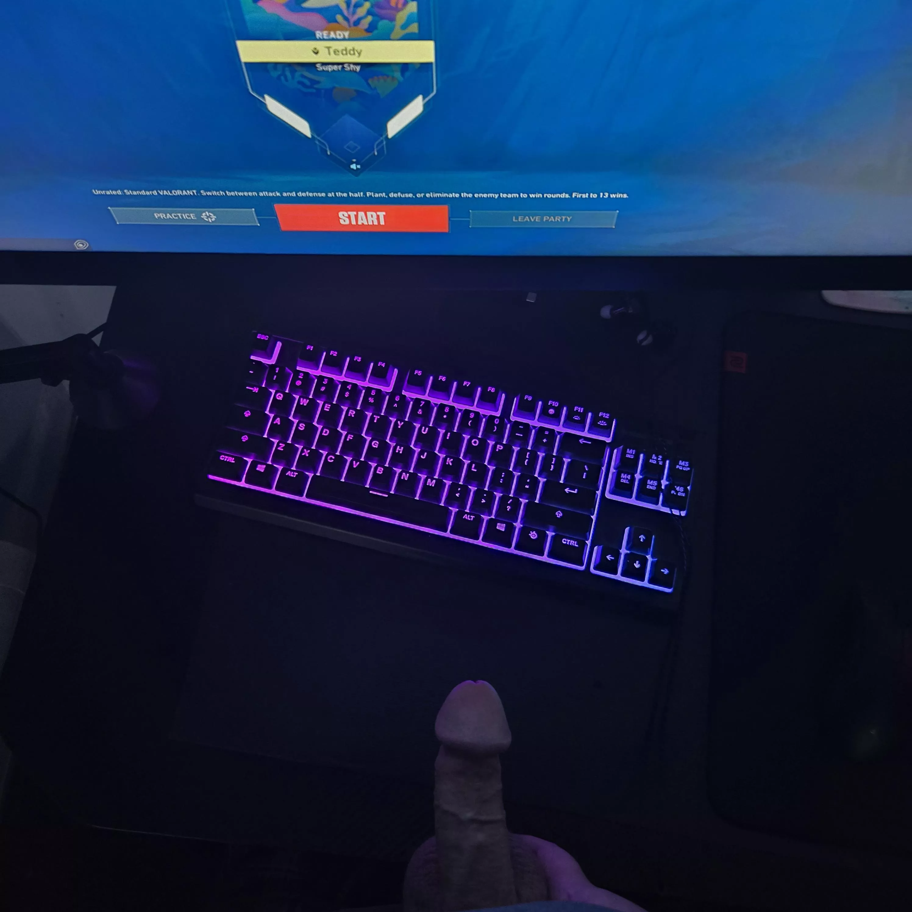 Would you make me cum while I game 