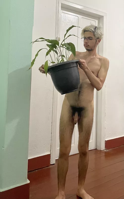 (25) A plant and I…