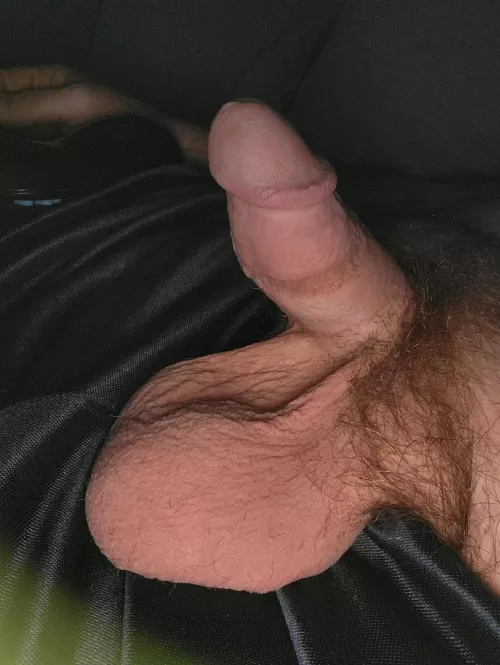 It's small but fierce 