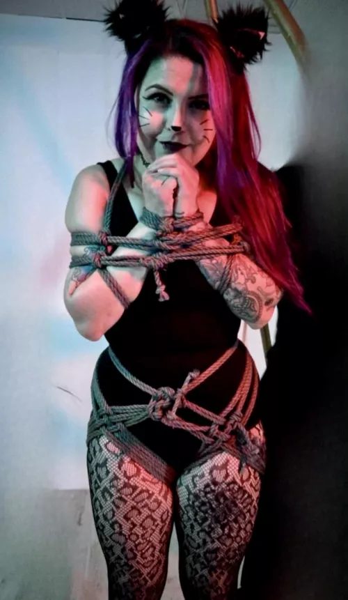 Just a kitten tangled in string 🐈‍⬛🪢