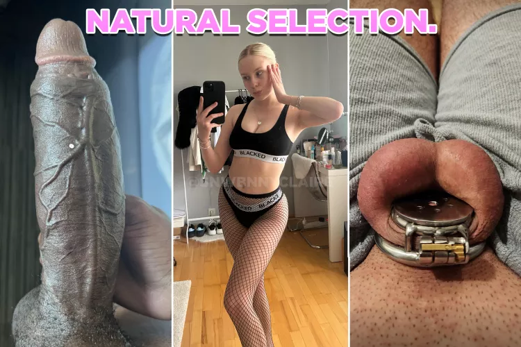 Squirt to your own demise whiteboi