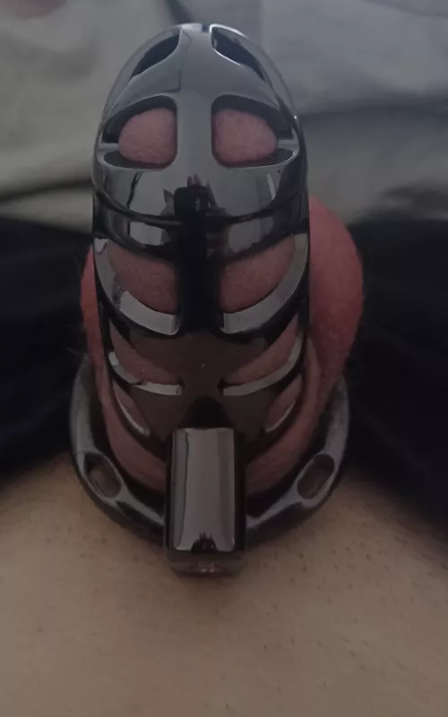 1er fois en cage !!! Qu'en pensez vous ? 