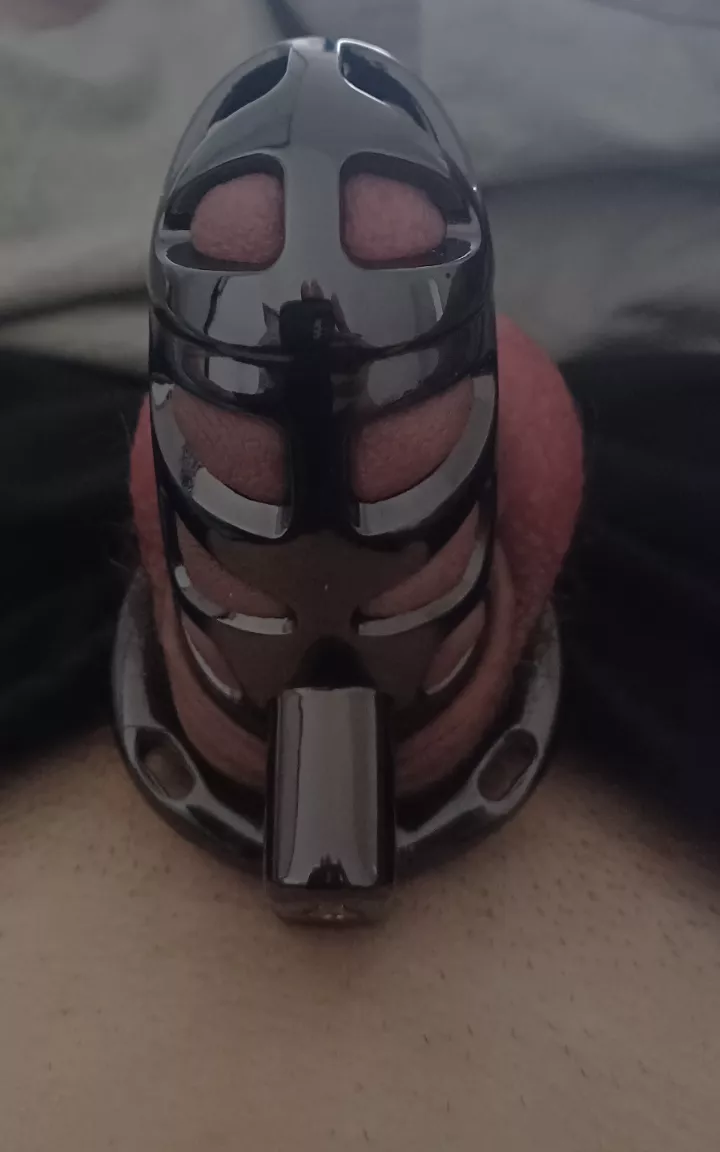 1er fois en cage !!! Qu'en pensez vous ? 