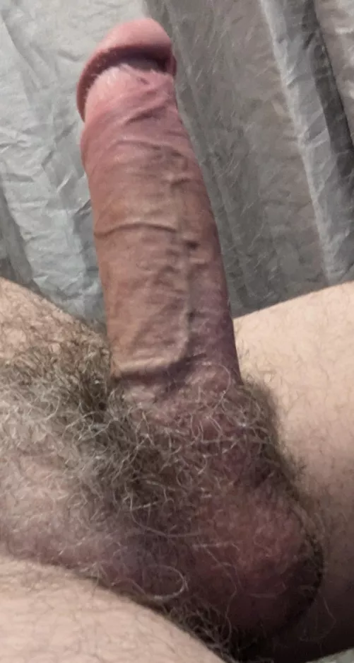 Daddy needs his (46) cock sucking before bed 
