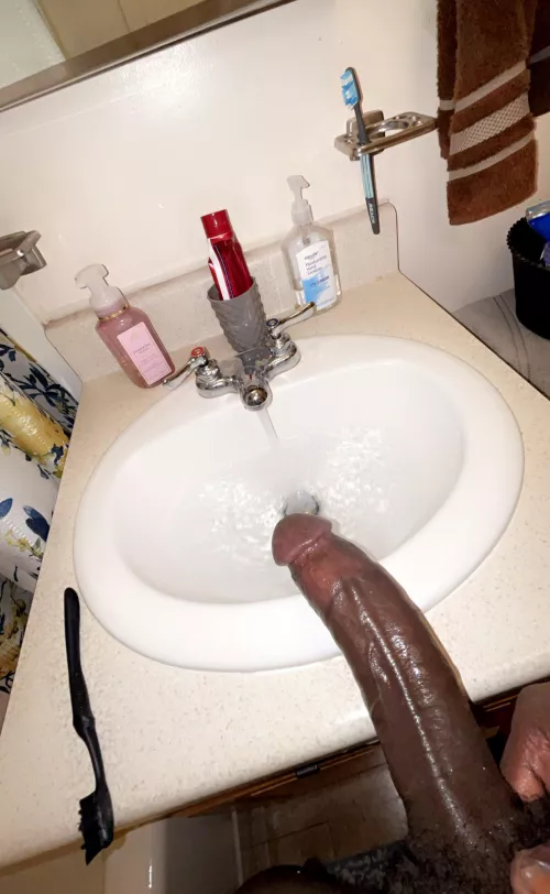 Here now 28 bbc (stl) straight 