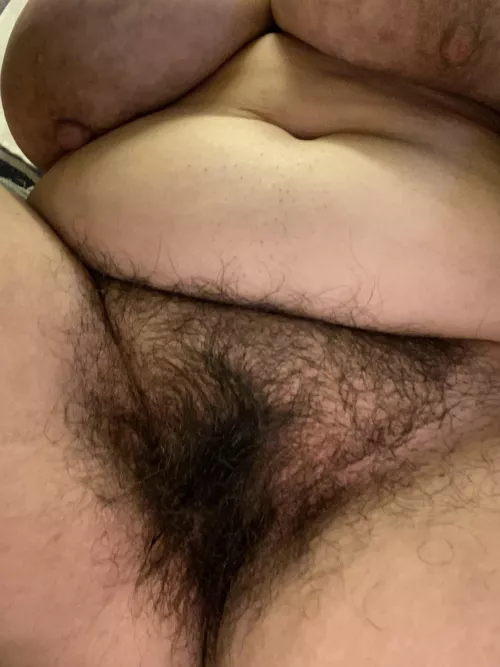 Let me be your furry pillow, come dive right in.