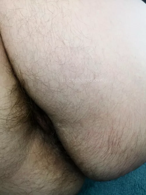 Nothing tastier than a [bushfrombehind] 