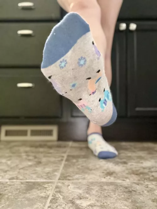 Some dirty yet adorable llamas 