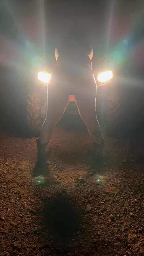 Wanna go for a ride? 