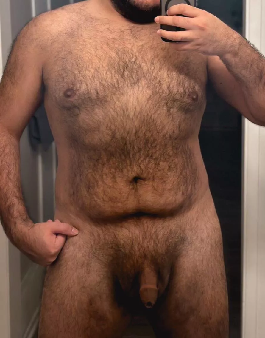 Furry Latino