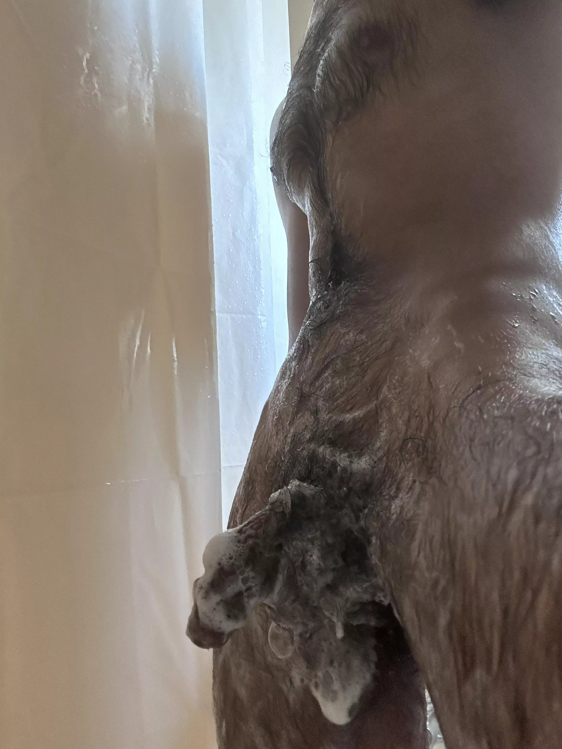 Is it clean enough for you?