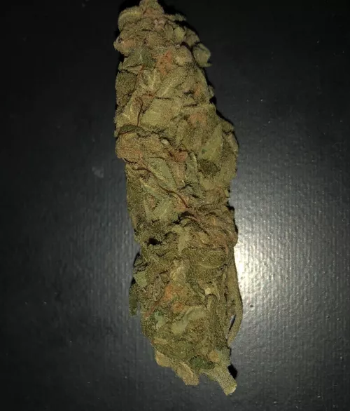 Adquiri a primeira flor