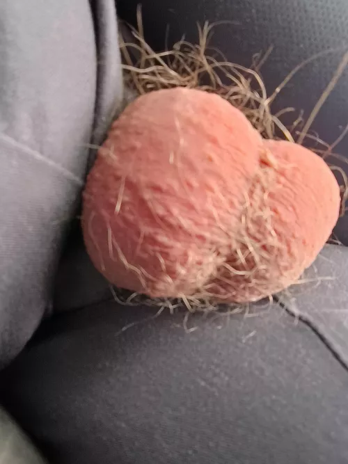 Oops...I ripped my pants