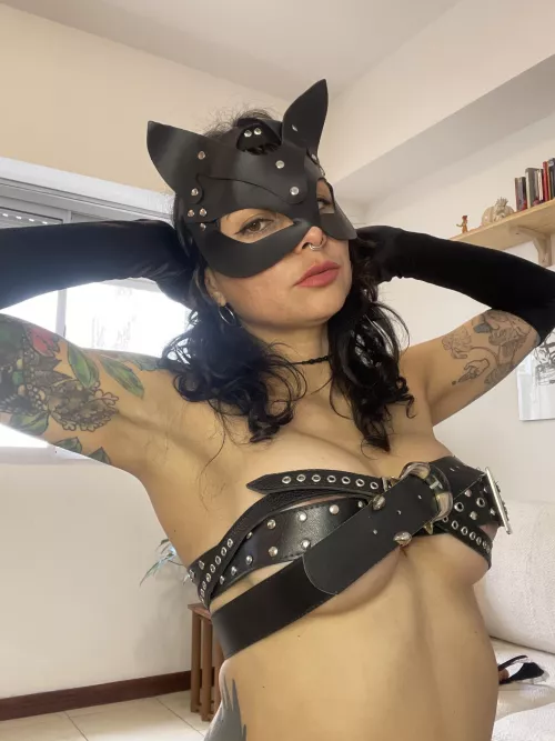 A naught and dangerous kitten [OC]