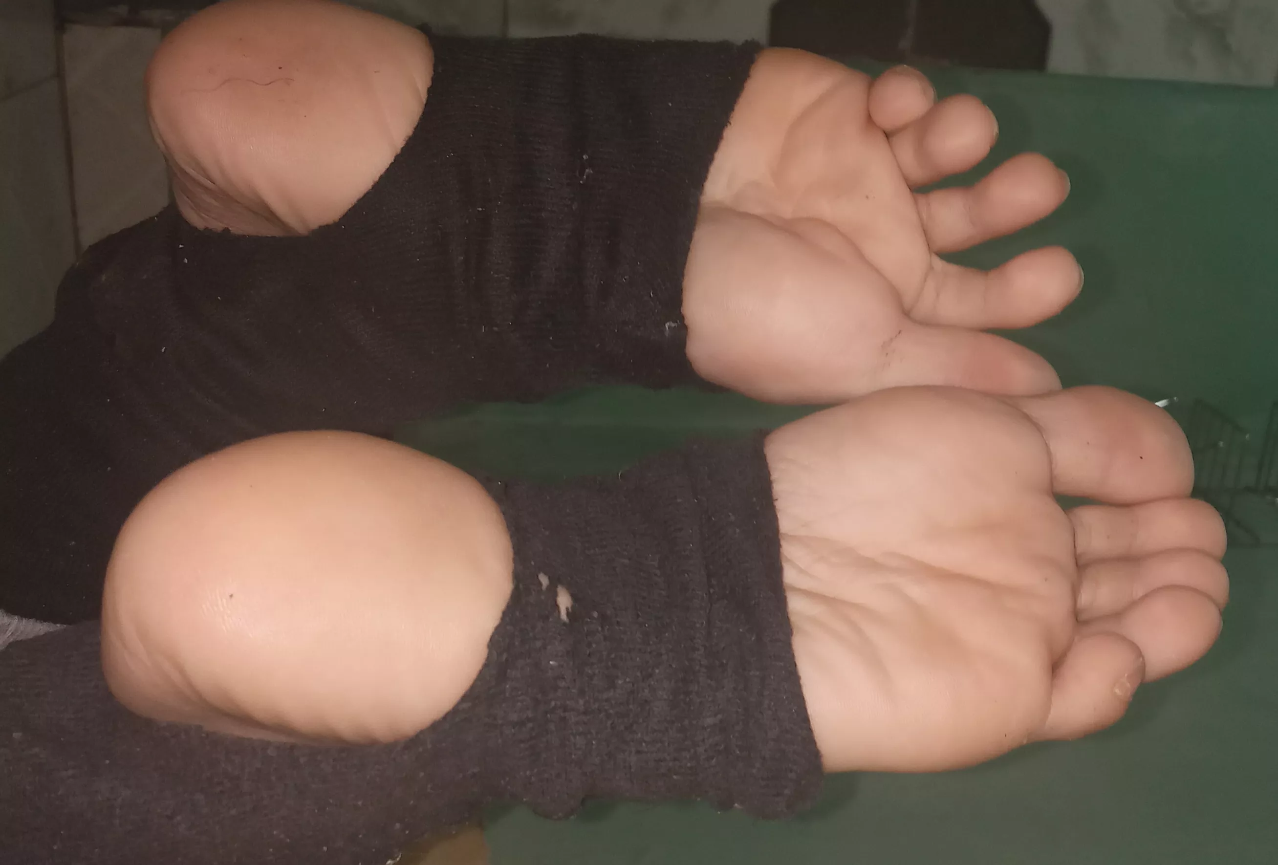 Who would like to take a good sniff? -w-