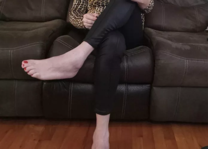 Wife’s feet! DMs open 