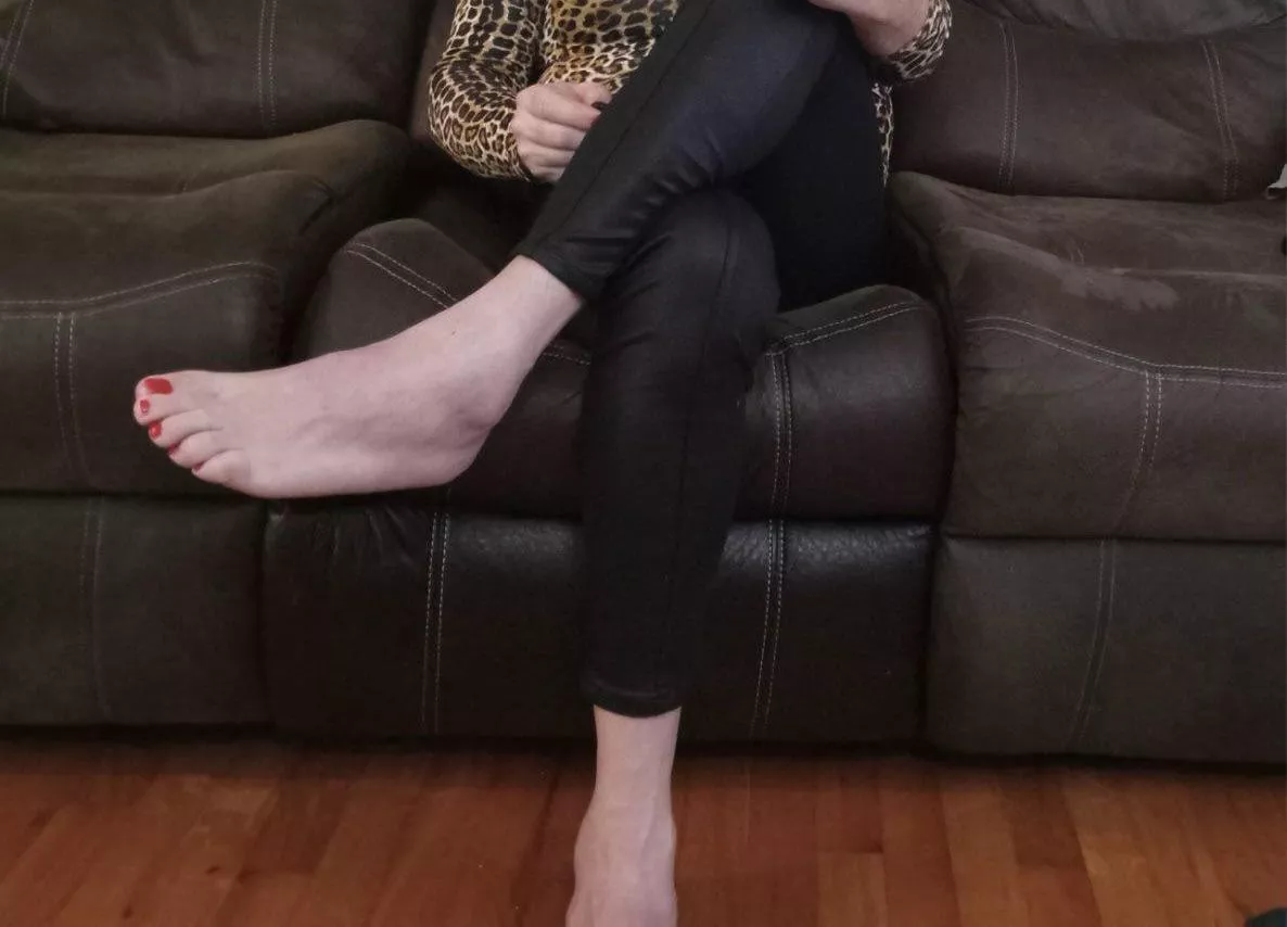 Wife’s feet! DMs open 