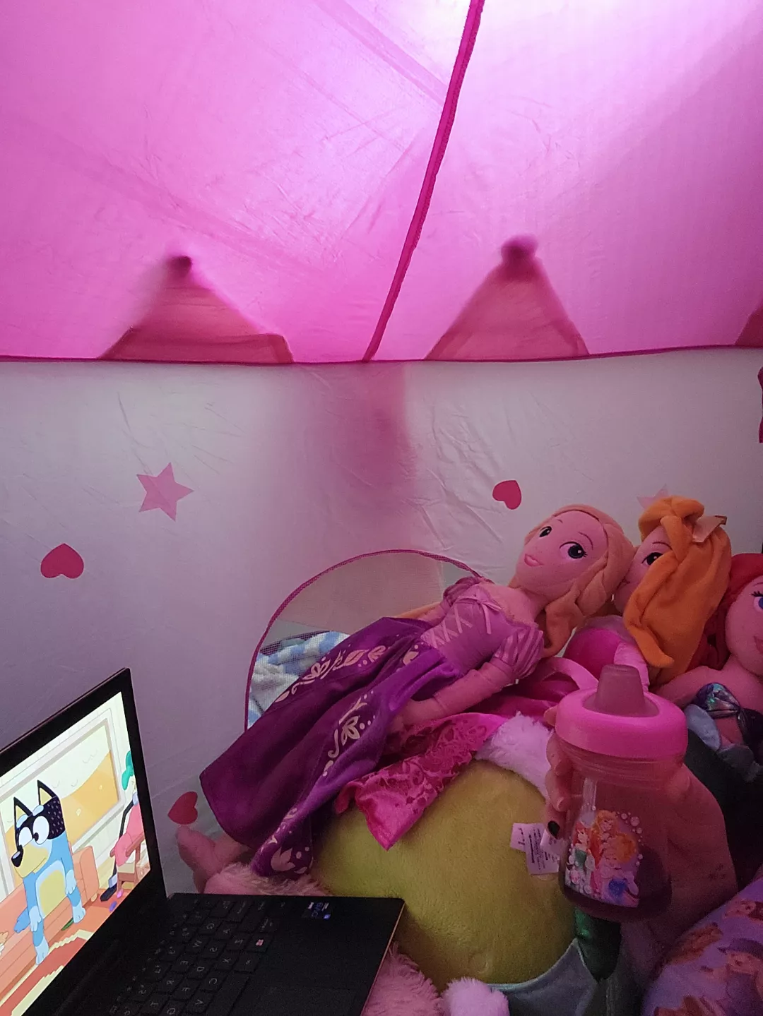 Finally got my lil pink princess play tent!!!