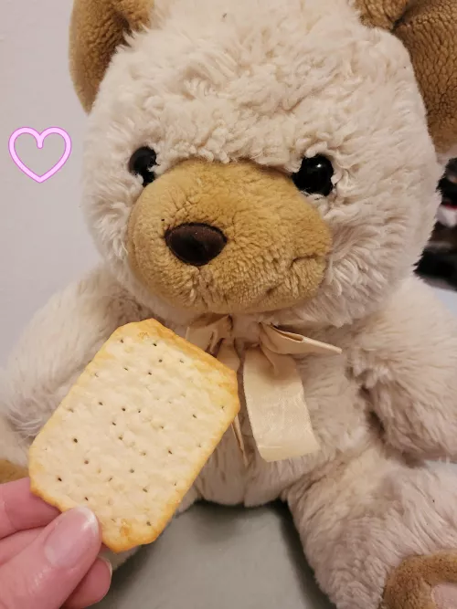 Giving teddy a cookie 🧸🍪
