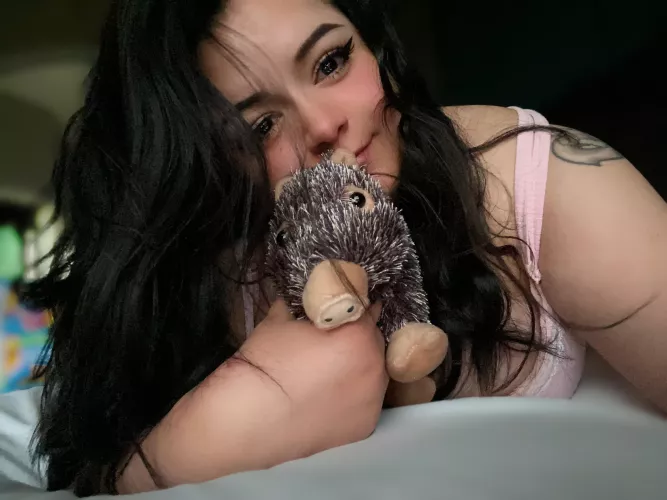 Hi, this is Allegra the Javelina 