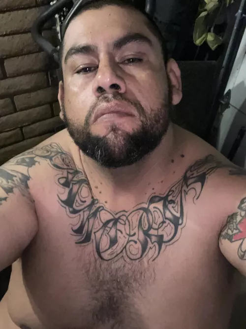 40yr old Tattoed Hispanic BHM in need of new friends! 6 ft 2 in 380 LB Big Daddy in need of great connections and awesome conversations. Located near El Paso, TX / NM border area 