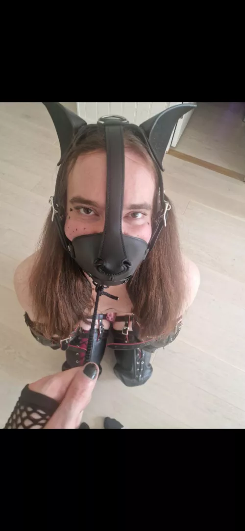 [OC] When are you letting me out of this fucking thing? 🙄