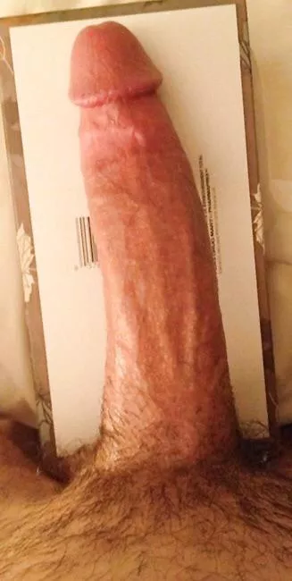 24 🇲🇦 ,I want to slap your face 