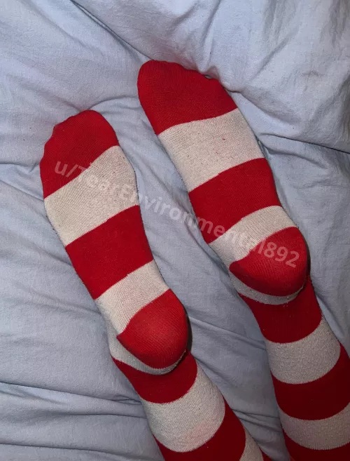 Would you have trouble spotting them in a crowd? 😏