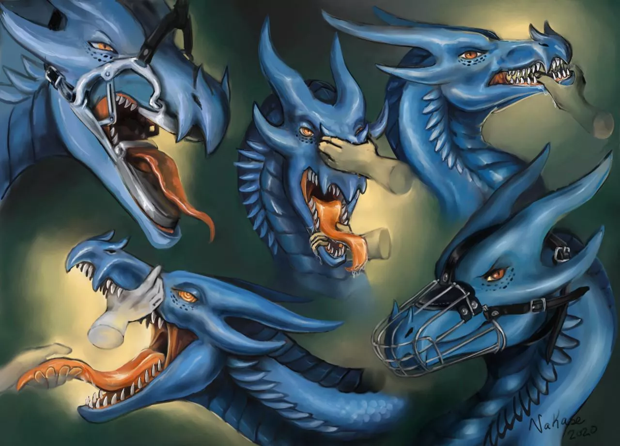 If you own a wyvern it's important to do a oral checkup at least once a month !