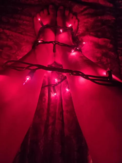 Prove to me how much you want my feet in your face with $$