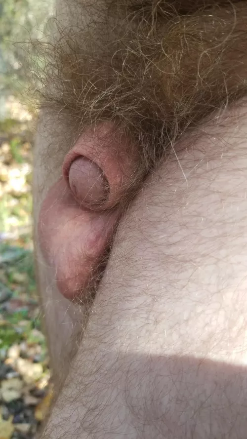 Wanna play with it? 🤠