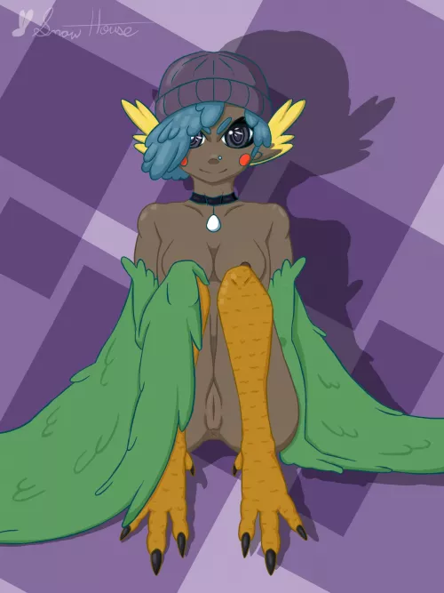 Budgie Harpy (Snowhouse)