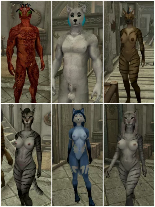 More anthro follower stuff