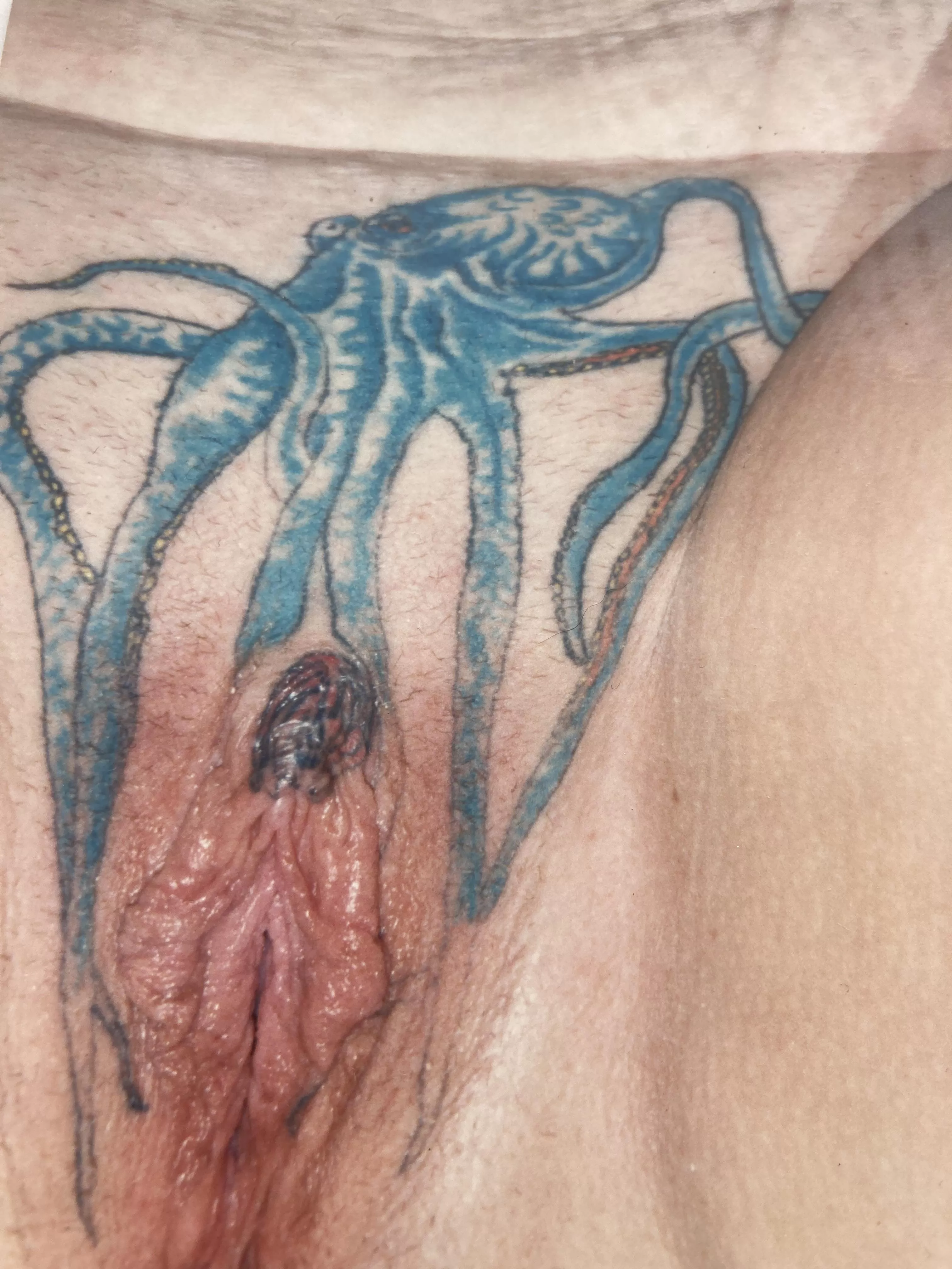 Tattoo pussy mound octopus what do you think