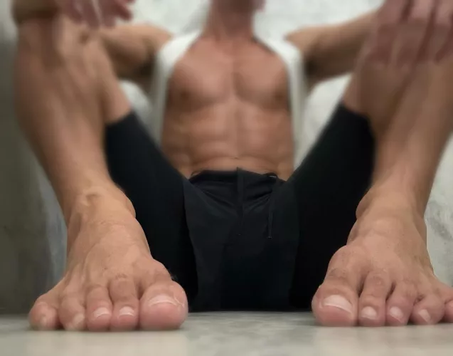 I own you…pay now pigs