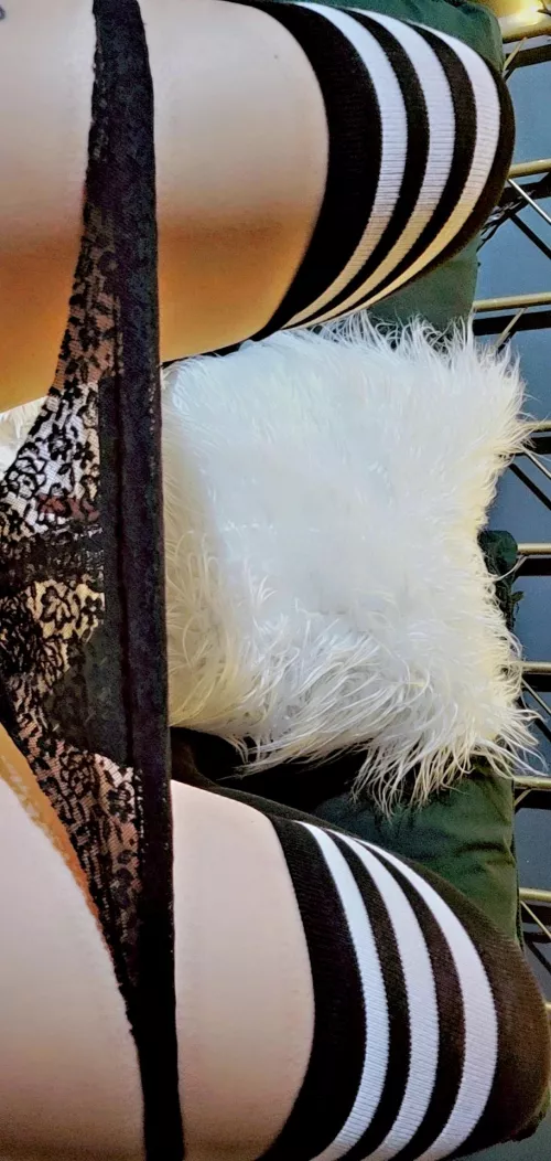 Let me be yoir fav gfe 