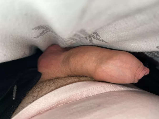 47, horny and dms open