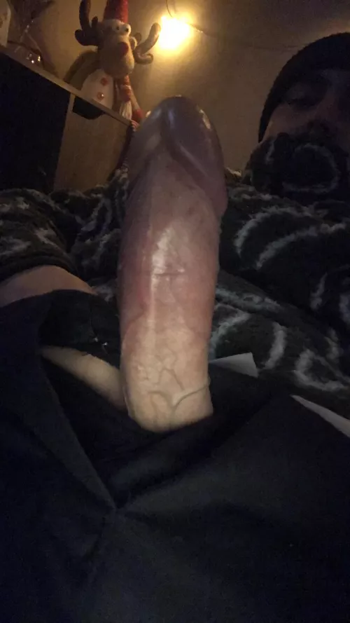 Anyone in bulwell want to sloppy top my dad cock and worship me male 25 