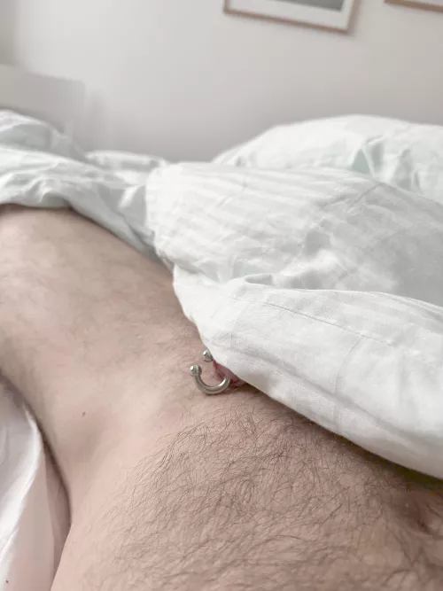 Horseshoes bring good luck, don’t they?