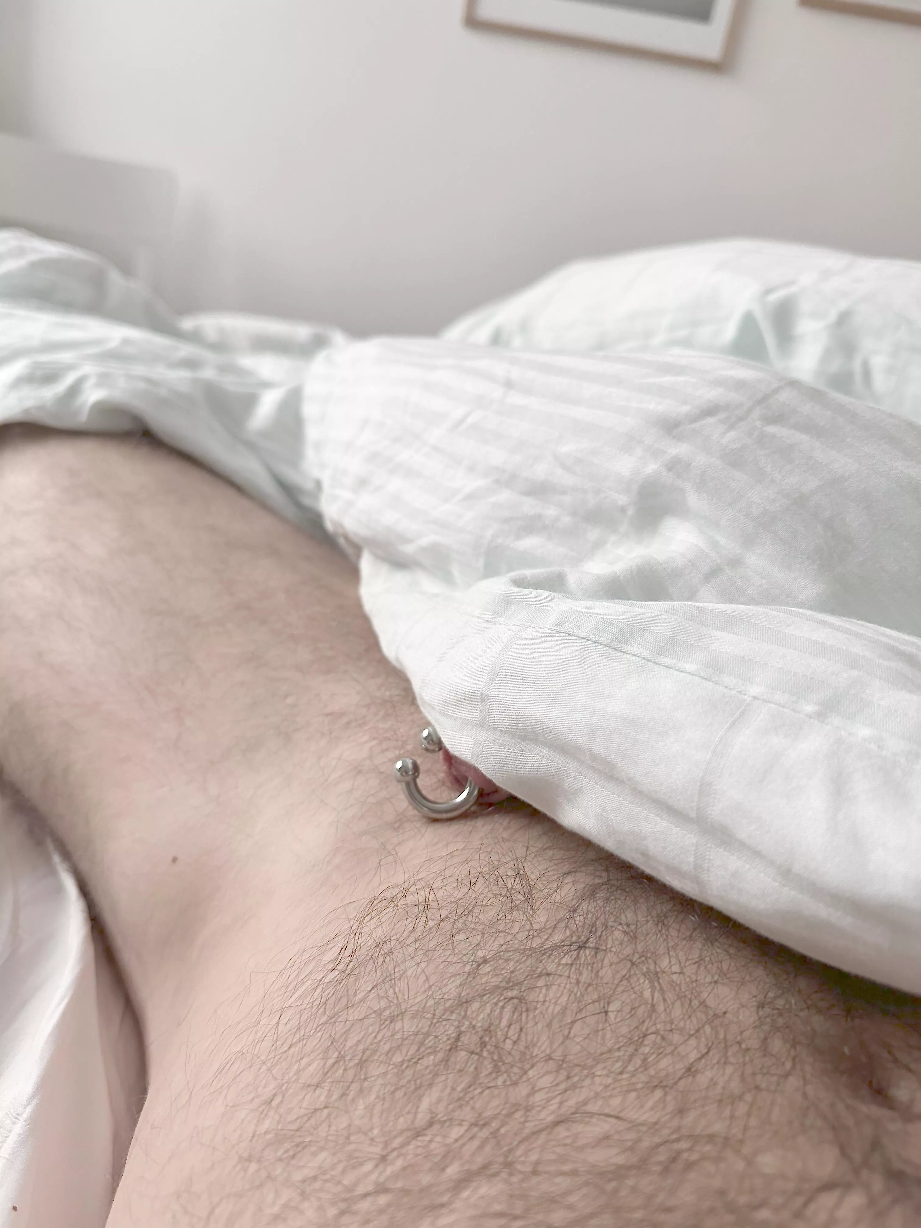 Horseshoes bring good luck, don’t they?