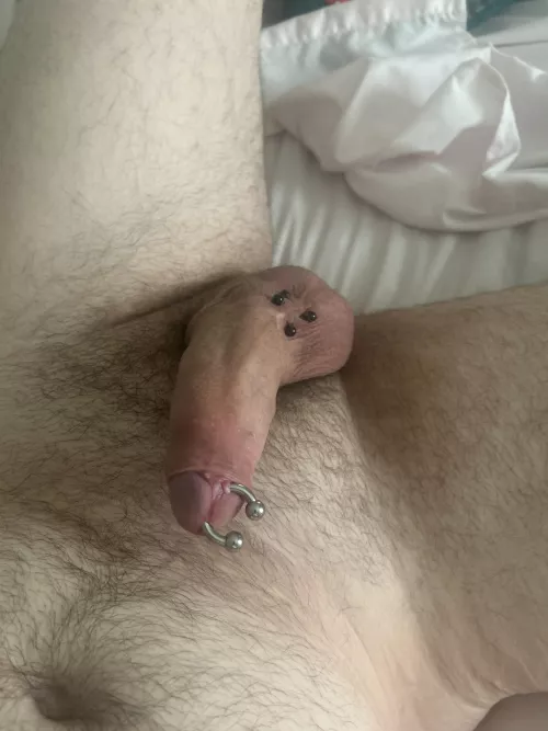 Just gauged up to 6g, really like the look of a bigger ring