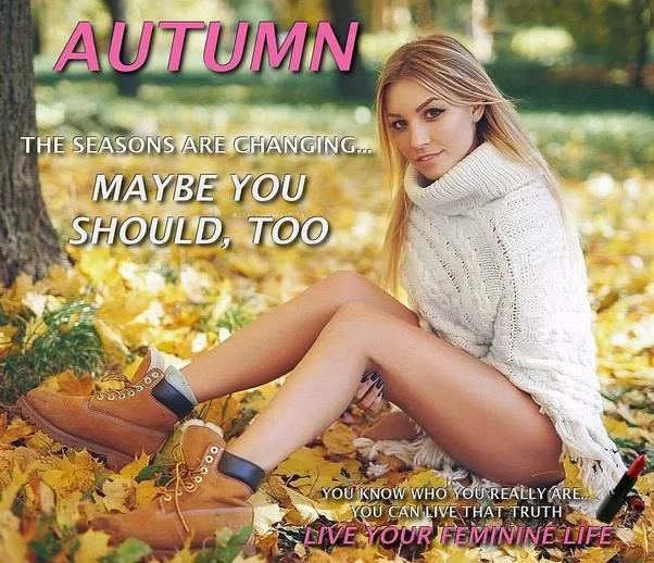 The Pleasure of a whole new wardrobe...