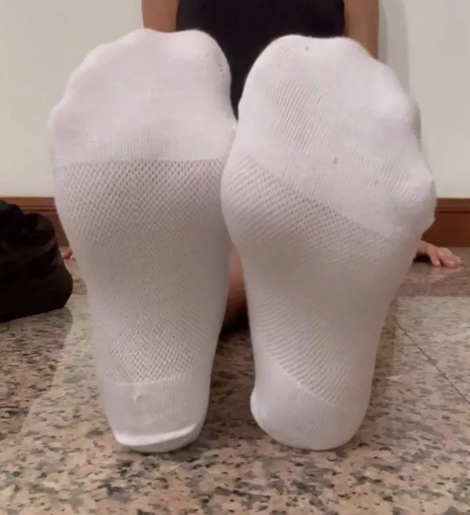 Come and sniff them please 🤭🤭