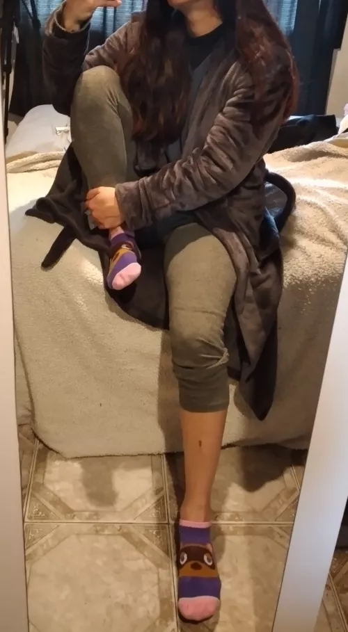 Cute Animal Crossing socks