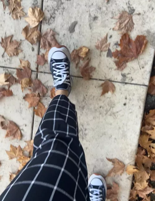 i bet you wish you had a better view of how dirty i’ve gotten these